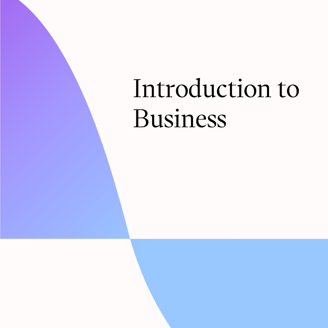 Cover for  *Introduction to Business Course